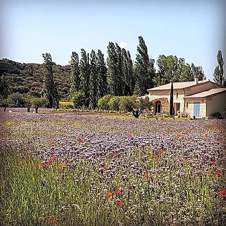 Bed & Breakfast Fontaine De Cerier