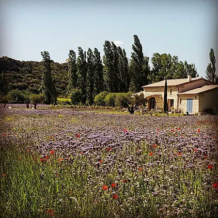 Fontaine De Cerier Bed & Breakfast